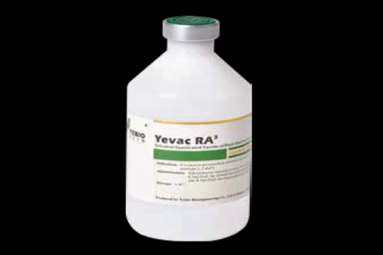 Yevac RA